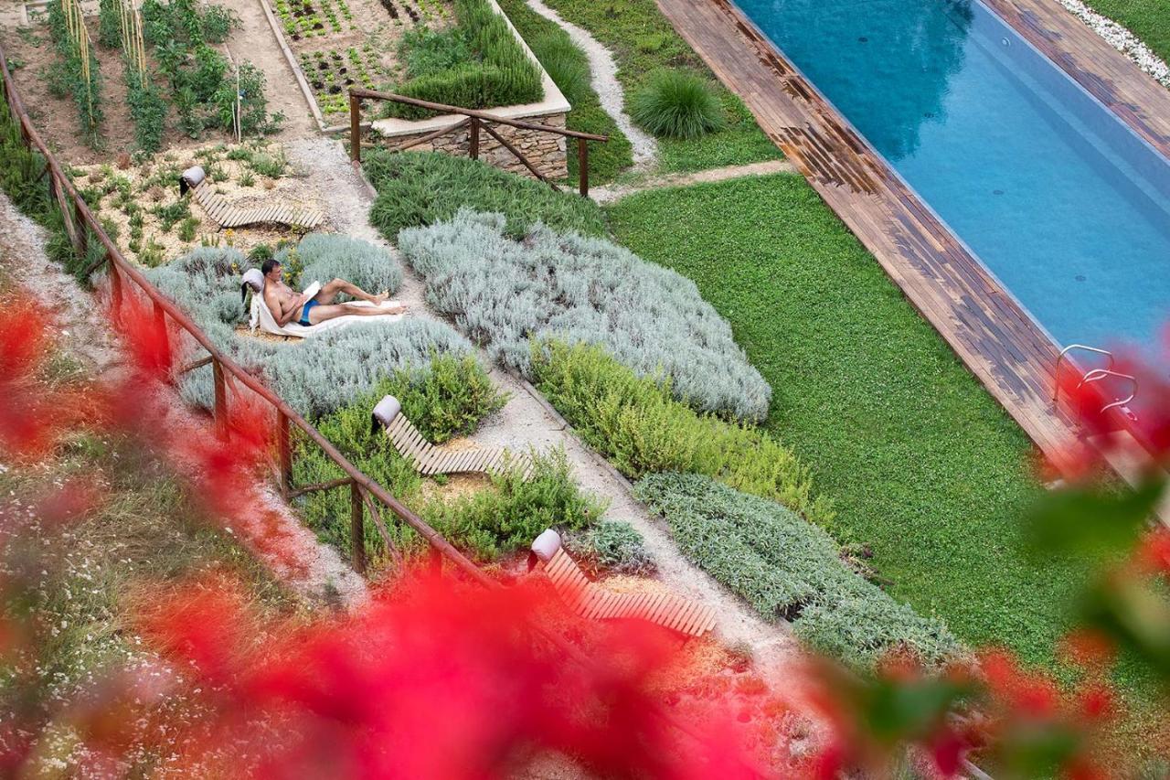 Dionisia'S Home, Pool, Spa On Monviso Unesco Alps Verzuolo Exterior photo